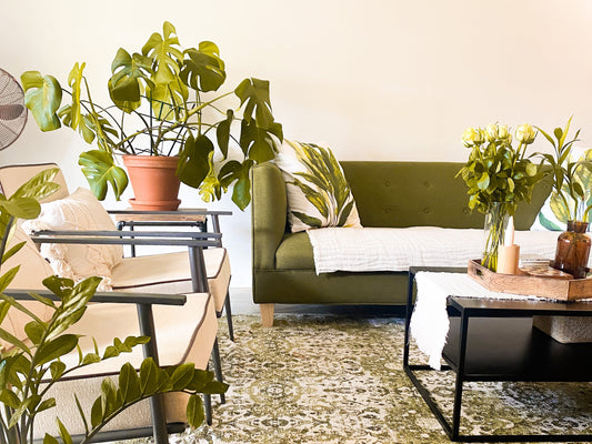 Green living room filled with plants