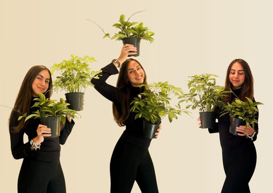 I Just Launched My Online Plant Shop - Here's Why I Chose These Two Easy Plants To Start With