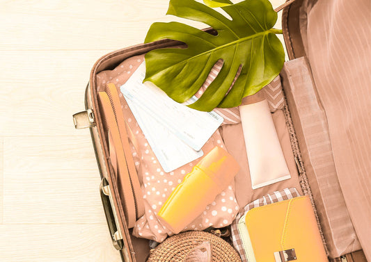 Don't Let Your Plants Dry Out: Tips for Watering Indoor Plants While Away