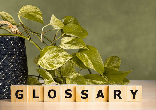 Word glossary with plant behind it