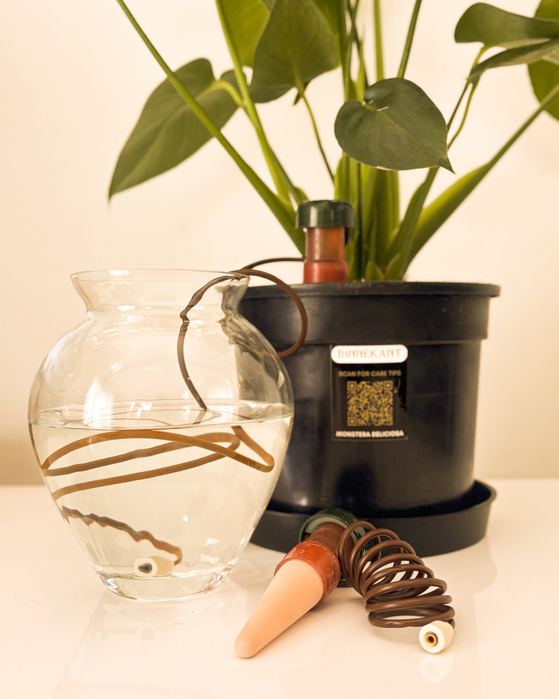 blumat glass plant self watering globes Blumat Classic Self Watering Cone – binnekant