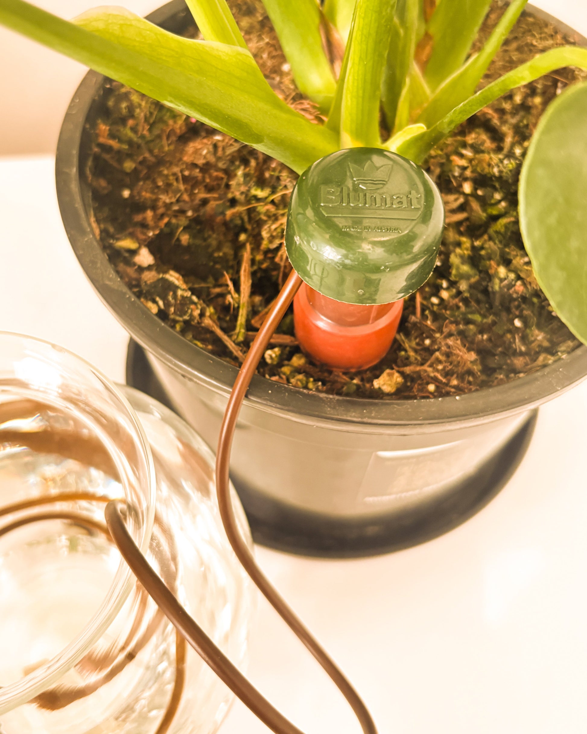 blumat automatic plant watering system Blumat Classic Self Watering Cone – binnekant