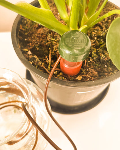 Blumat Classic Self Watering Cone