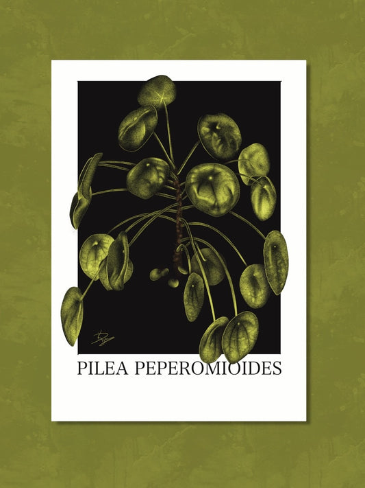 Pilea Peperomioides Plant Print