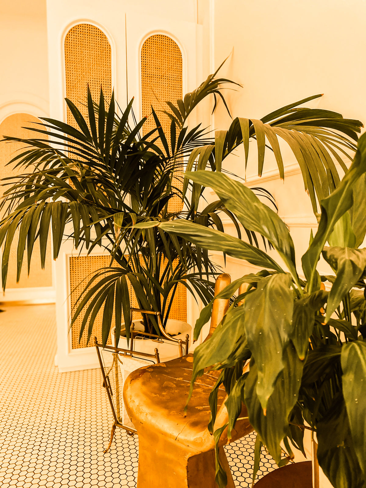 Full Plant Styling & Sourcing